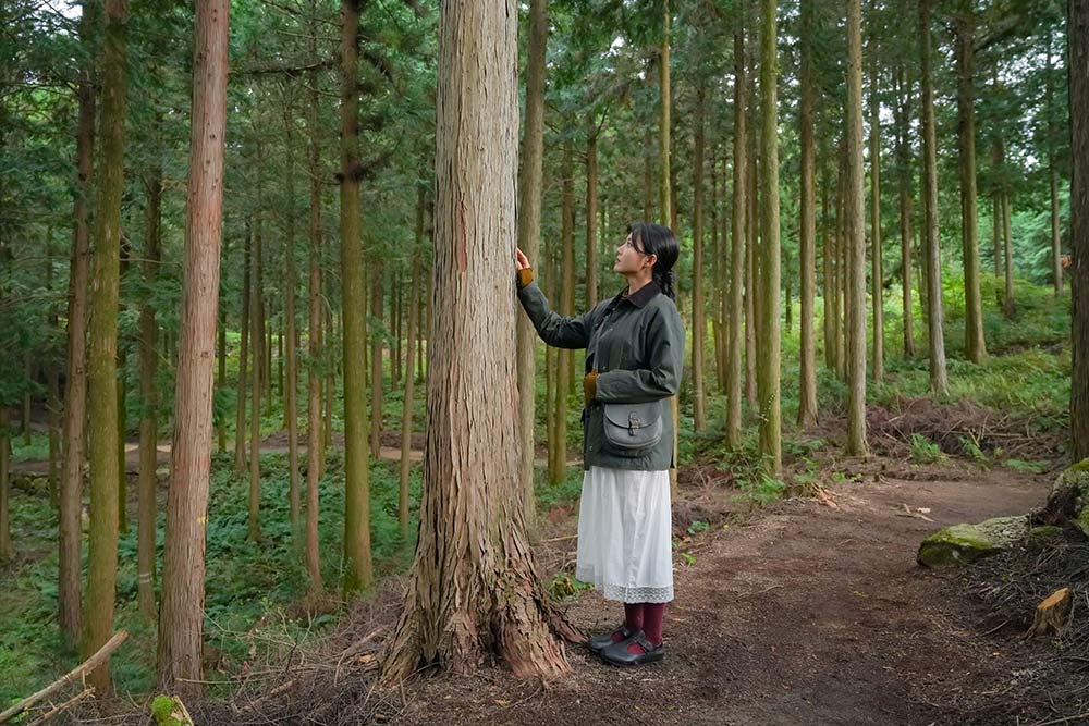 Khám phá Jeonbuk – hành trình chữa lành giữa thiên nhiên ở Hàn Quốc