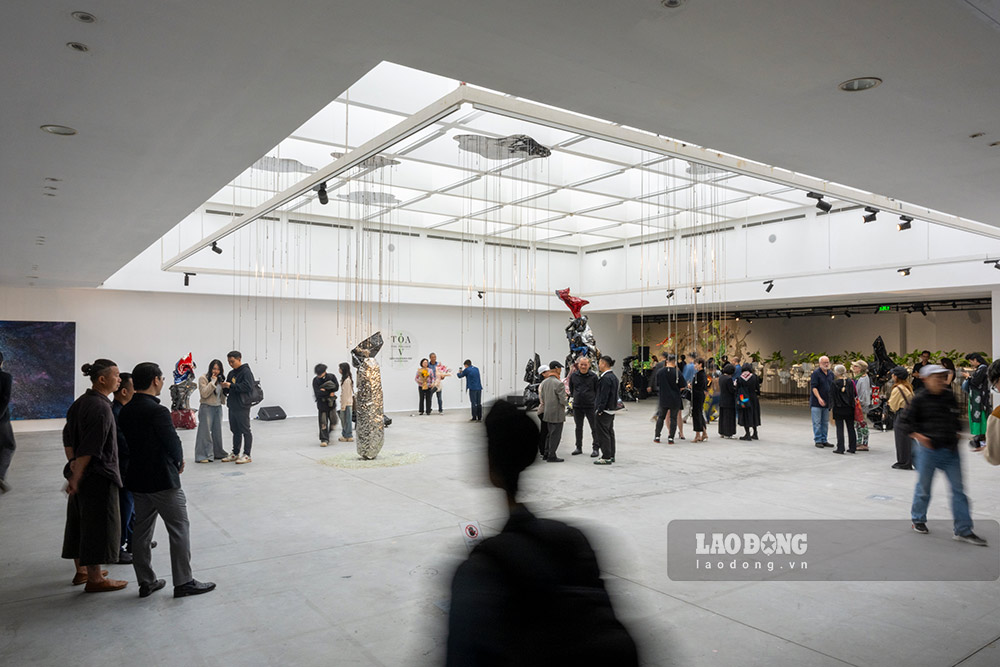 Từ hạt gạo, bèo hoa dâu đến cuộc đối thoại giữa khoa học và nghệ thuật