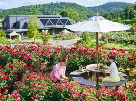 Kanto rực rỡ những mùa hoa