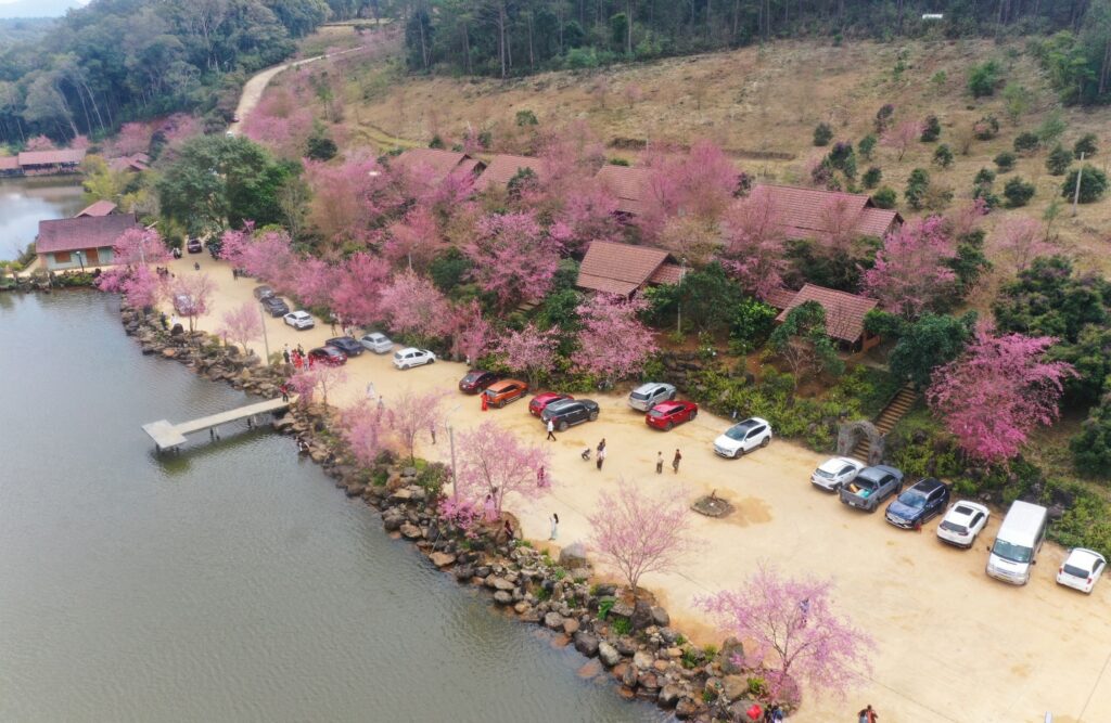 Ba tháng, Quảng Ngãi thu hút hơn 1,7 triệu lượt du khách