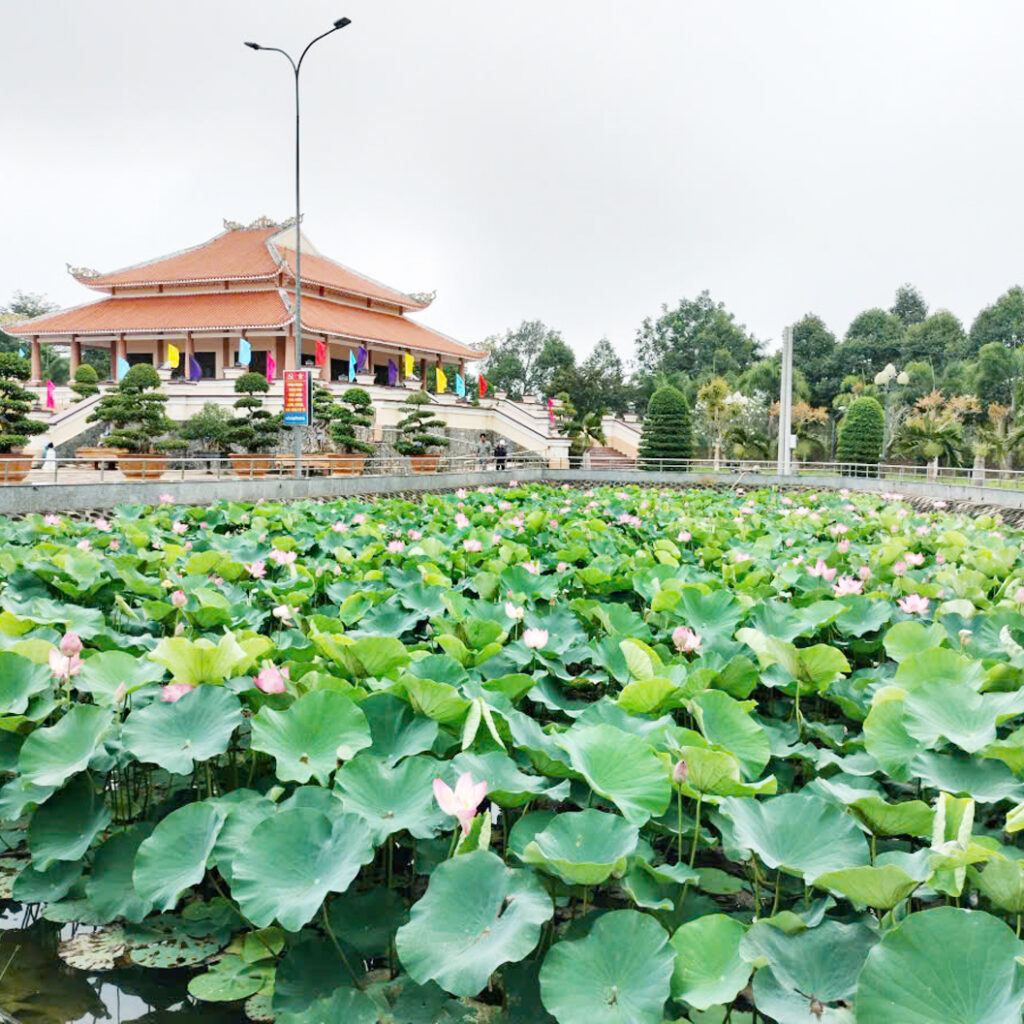Không gian phát triển du lịch xanh ở xã An Thạnh
