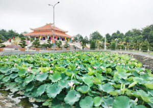 Không gian phát triển du lịch xanh ở xã An Thạnh