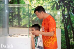 Khám phá tour trải nghiệm bảo tàng đêm tại Quảng Ninh