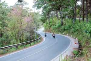 Hạ deadline, đón gió hè: Những cung đường roadtrip đáng cân nhắc cho mùa hè