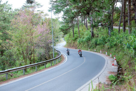 Hạ deadline, đón gió hè: Những cung đường roadtrip đáng cân nhắc cho mùa hè