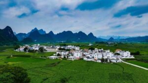 Photo shows verdant mulberry parks in an ecological demonstration zone located in Desheng Town of Yizhou District in Hechi City of Guangxi Zhuang Autonomous Region. (Photo by Wang Xinyuan) (PRNewsfoto/Xinhua Silk Road)